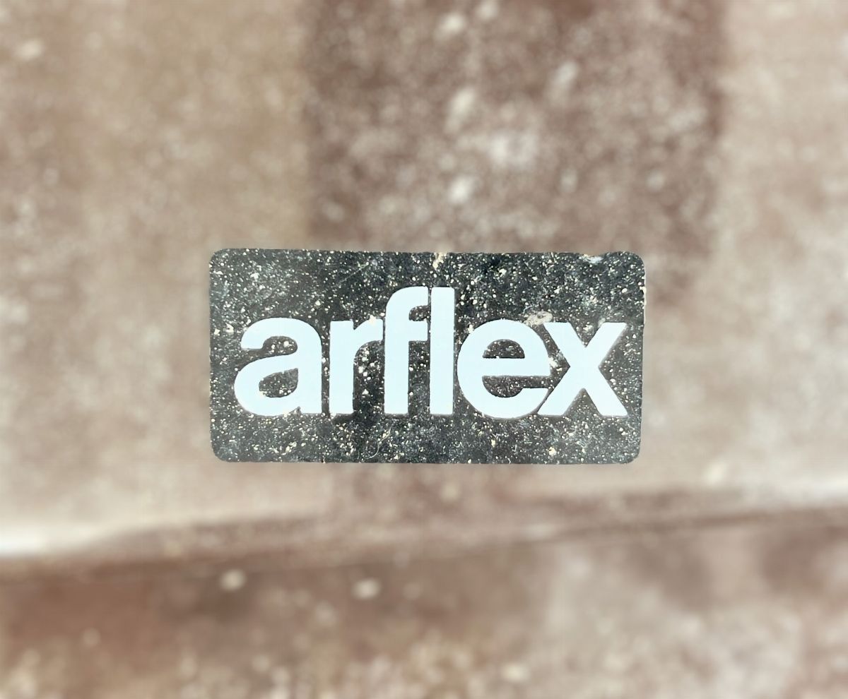 Coppia di Poltrone con Rotelle Cesare Casati per Arflex