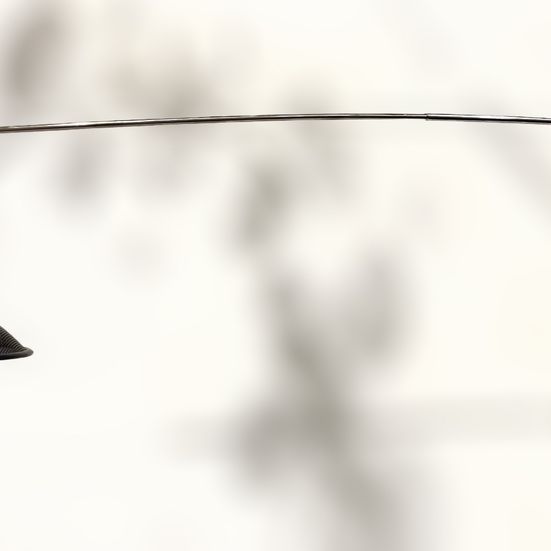 Lampada da Parete Allungabile