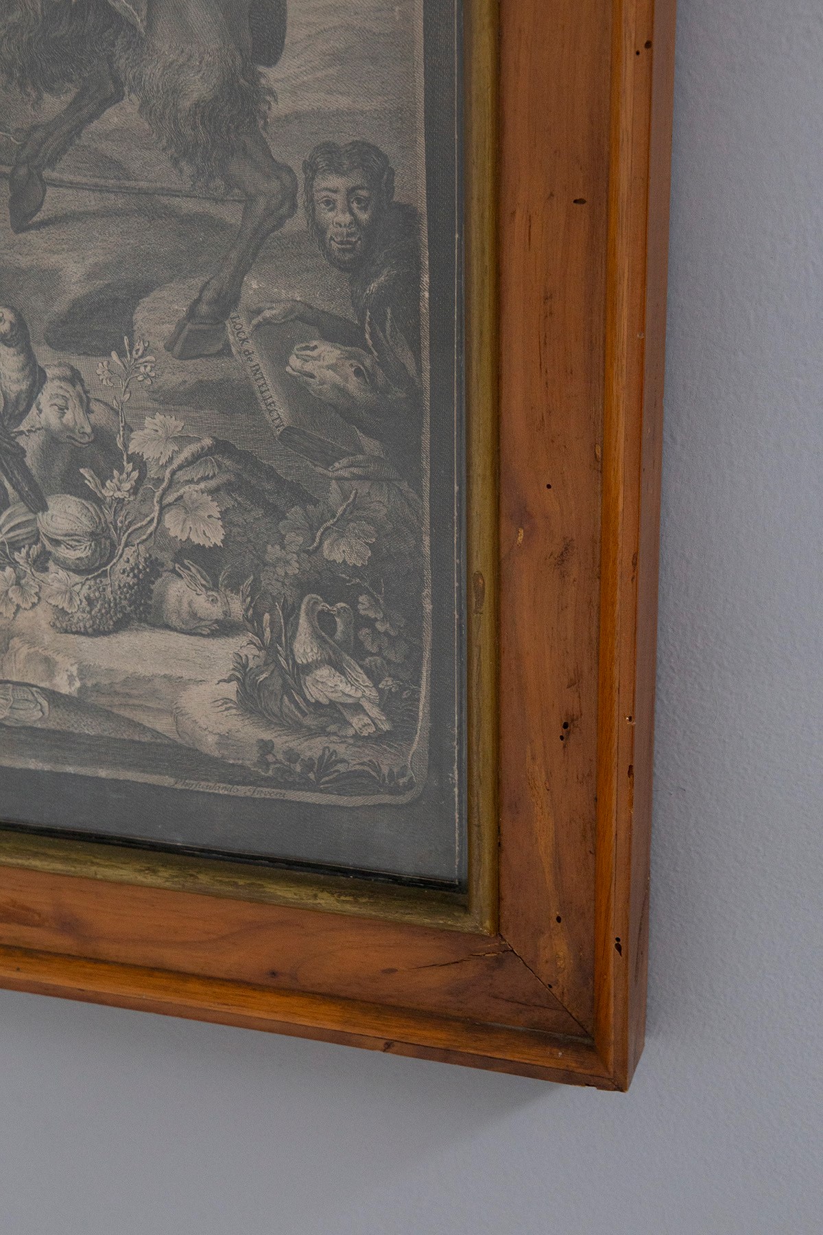 Tabula Riveriana, 4 tavole