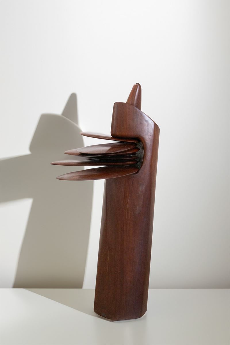 Scultura Nascere di Nuovo, Amazonia