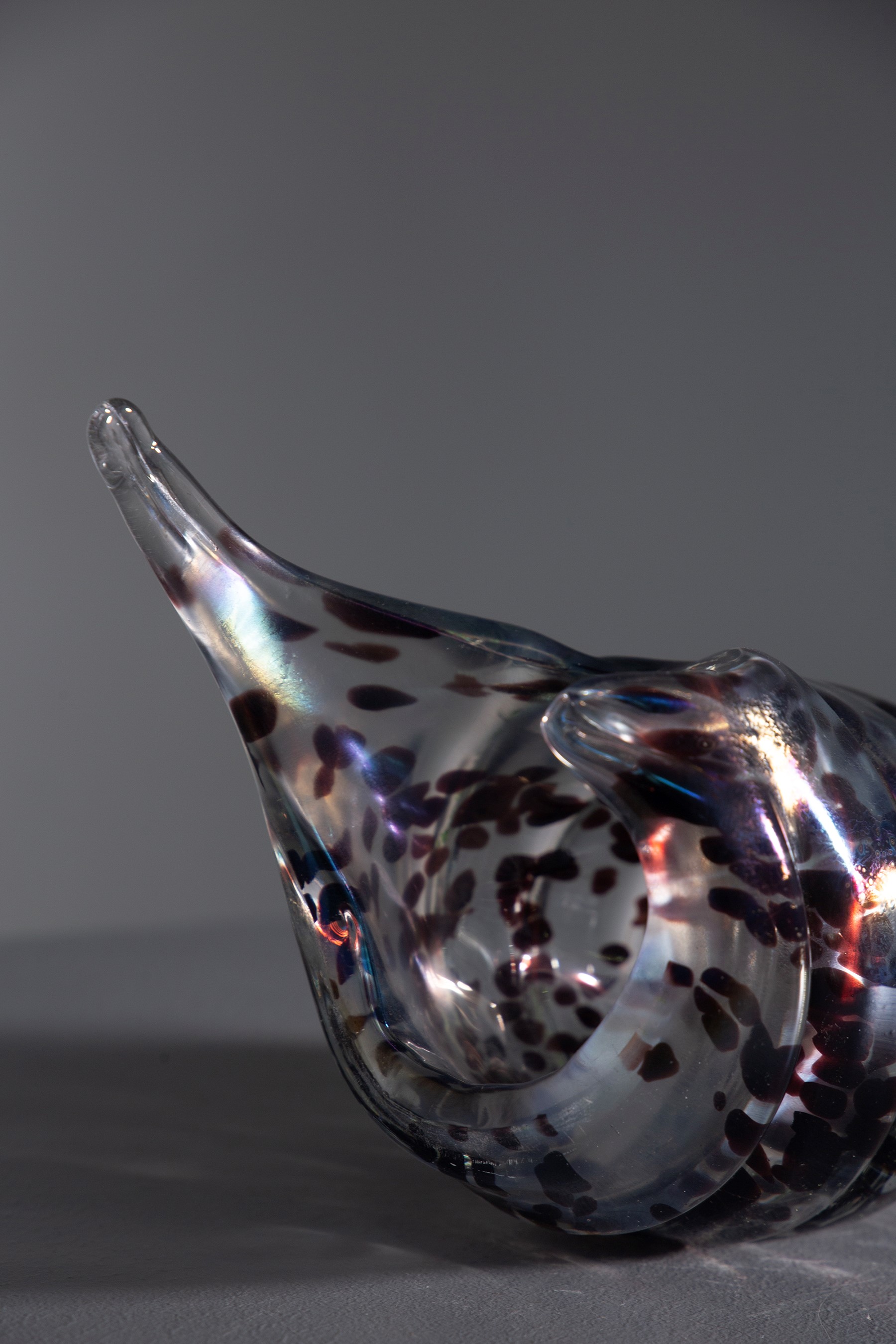 Conchiglia decorativa