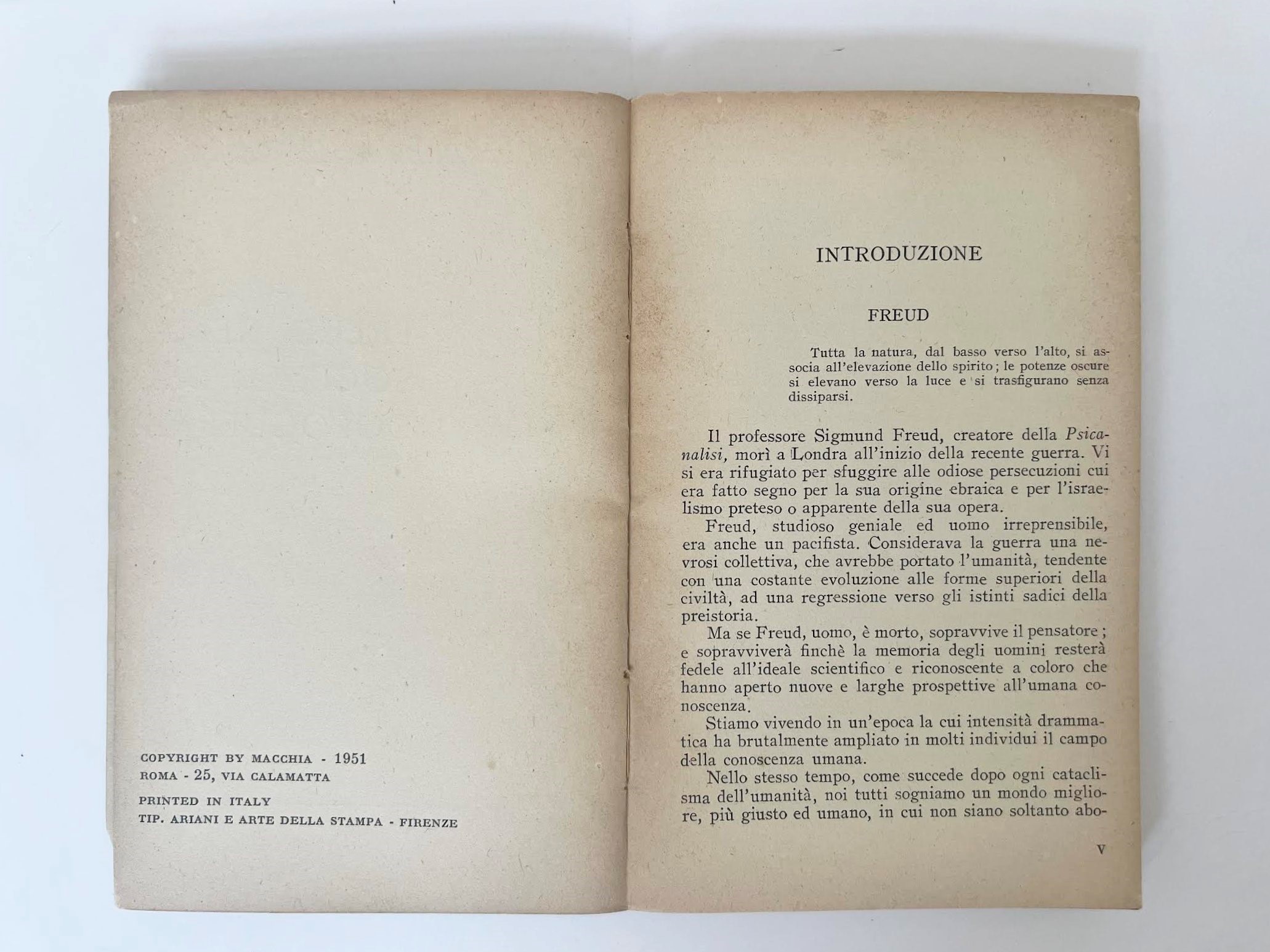 Angelo Hesnard, Freud nella società del dopoguerra
