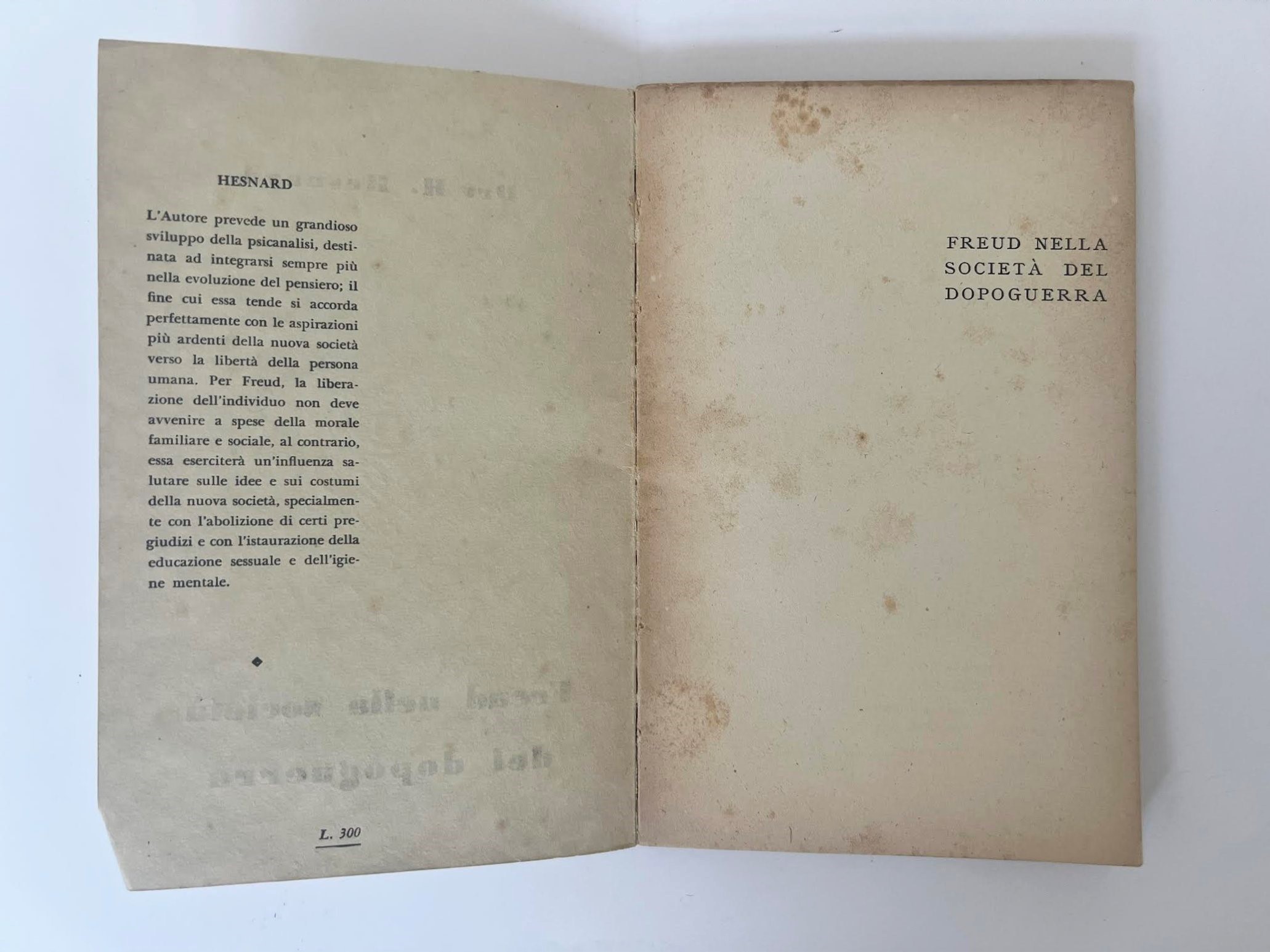 Angelo Hesnard, Freud nella società del dopoguerra