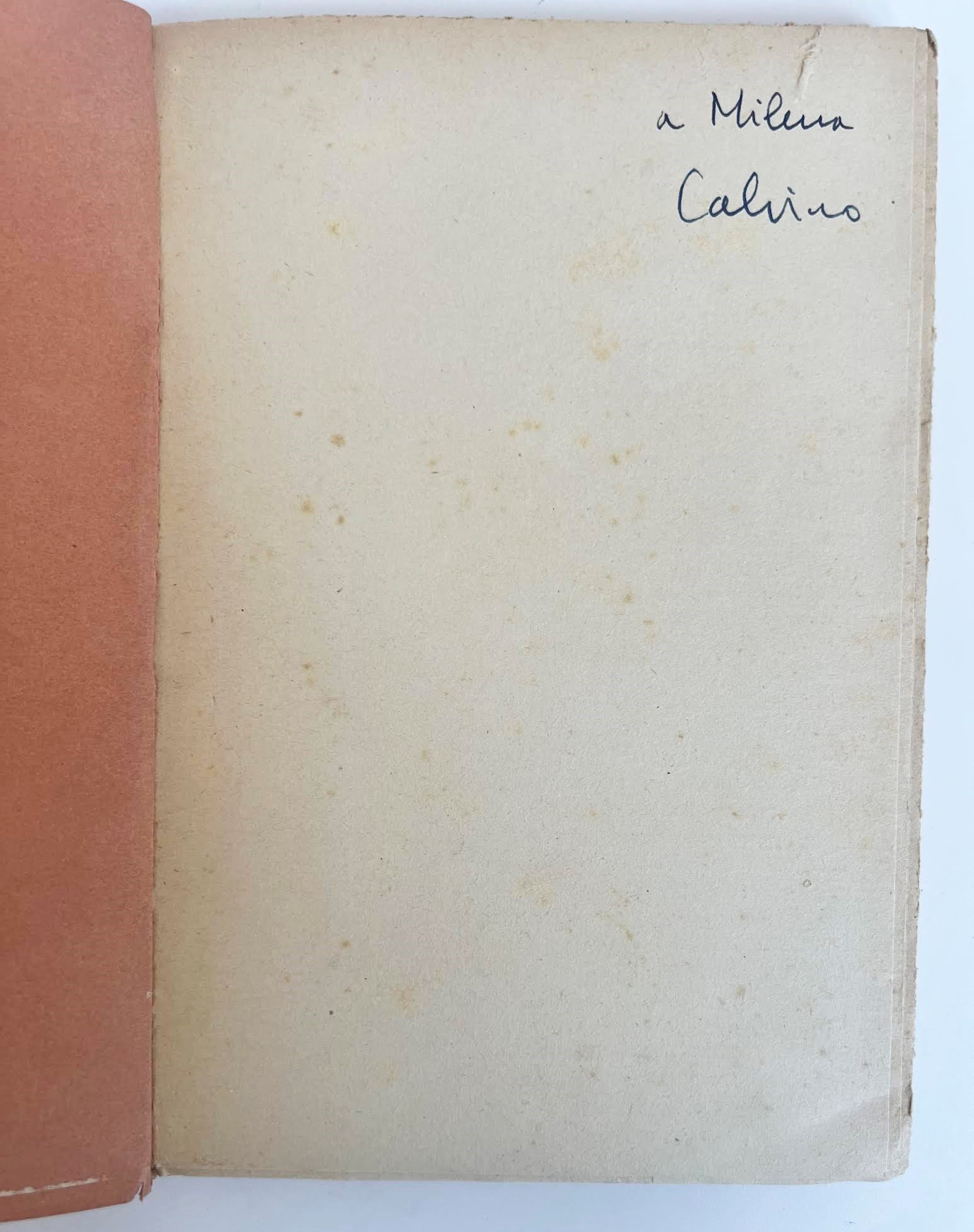 Il visconte dimezzato
