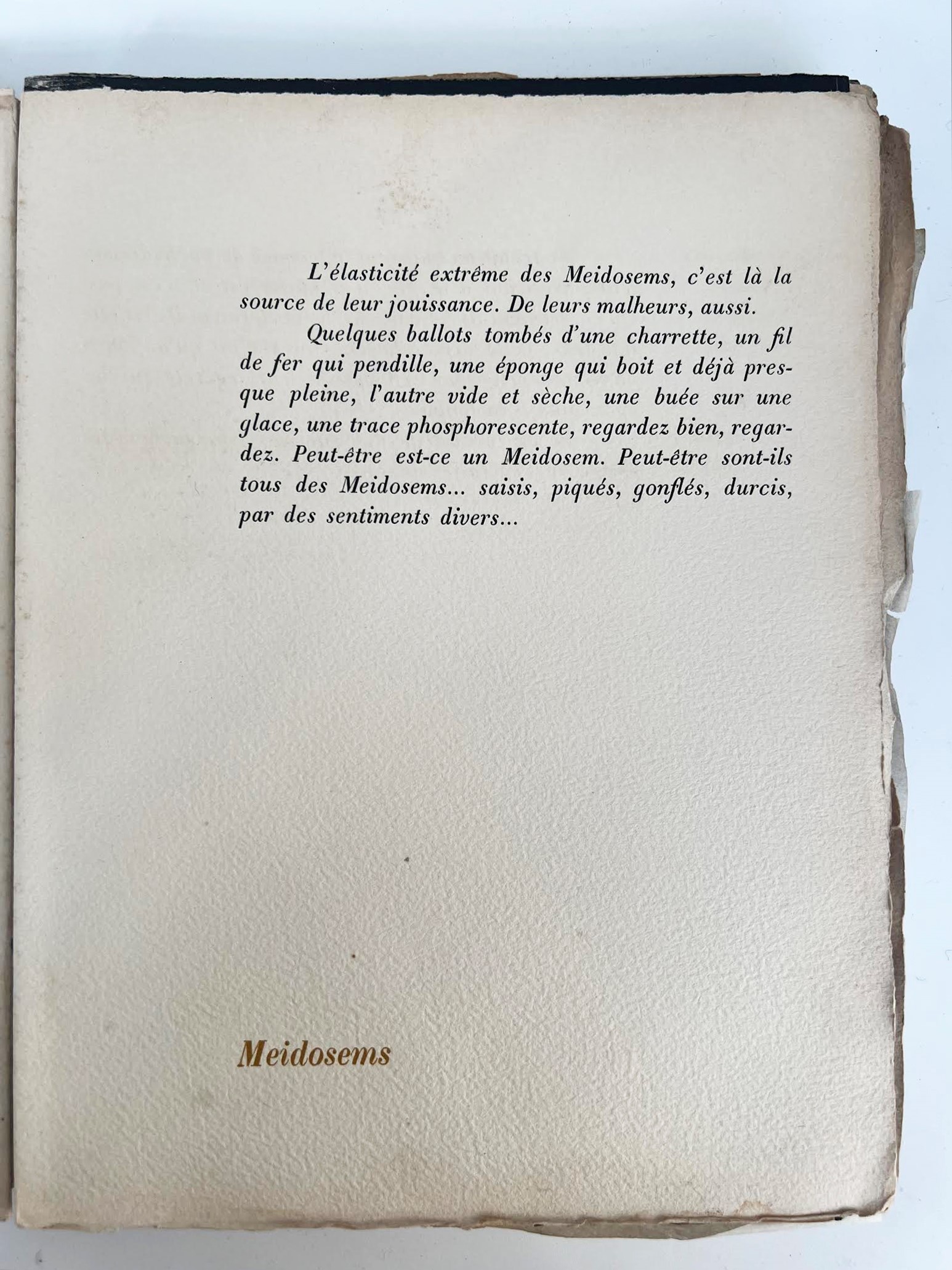 Henri Michaux, Meidosems (1948) — libro illustrato con litografie