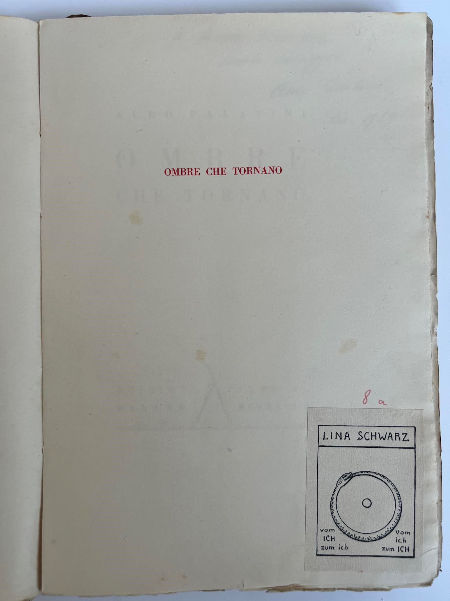 Aldo Palatini, Ombre che tornano, libro di poesie (1928)