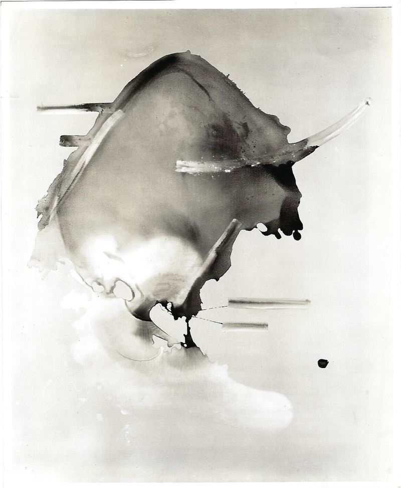ENRICO DONATI Foto Spazialista
