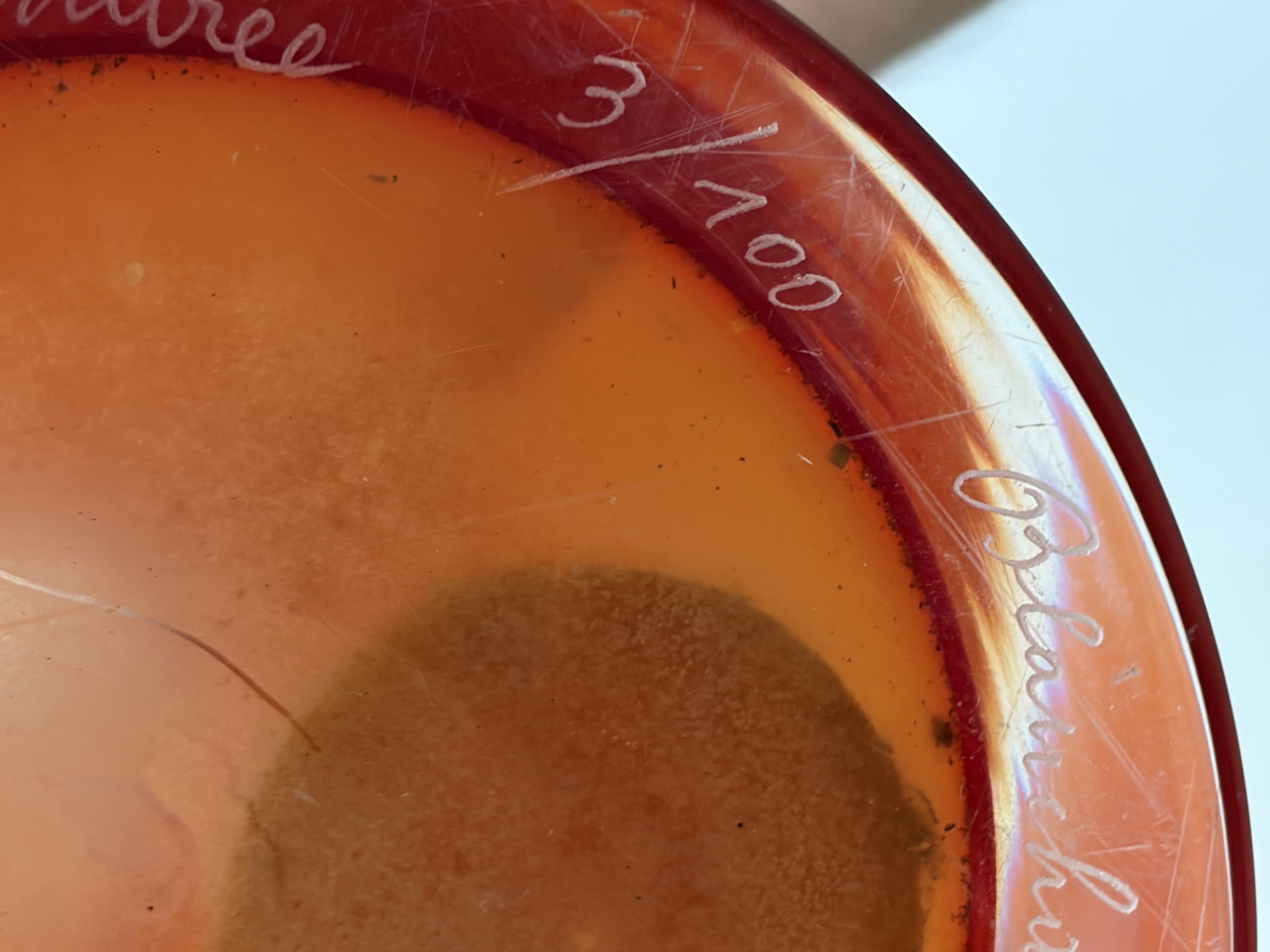 Andree Blanchaert - Vaso in vetro di Murano firmato e numerato