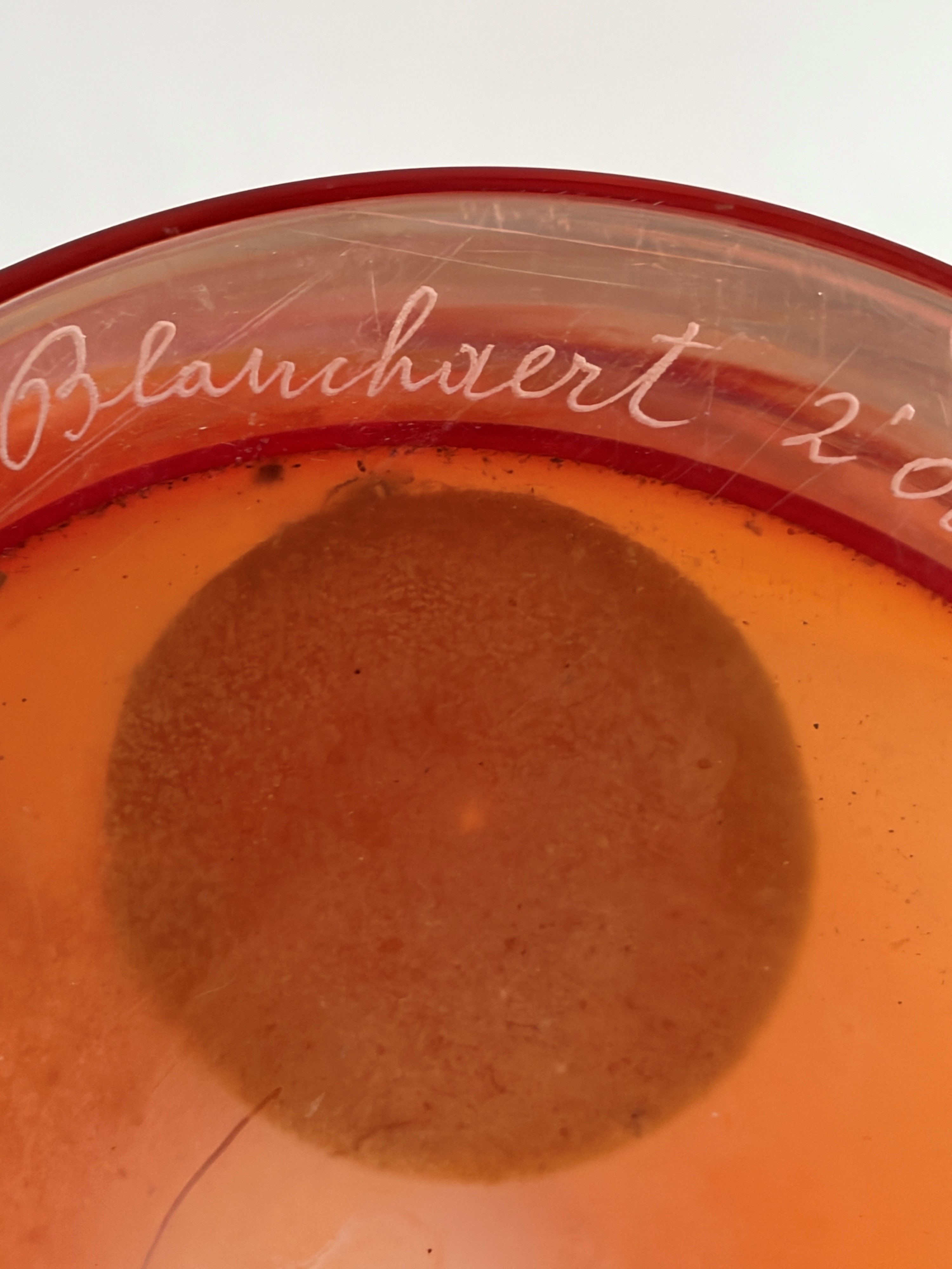 Andree Blanchaert - Vaso in vetro di Murano firmato e numerato