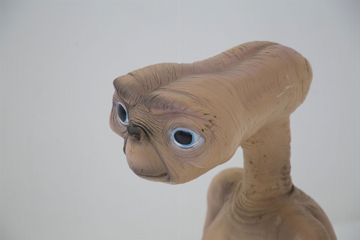 Vintage Et in Resina